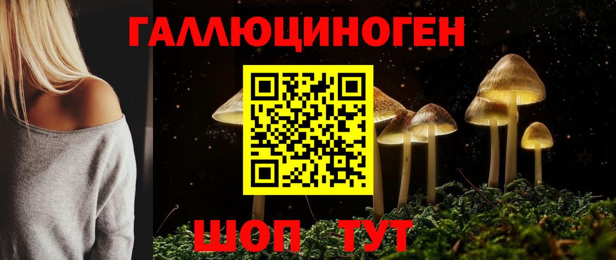 Канск  Псилоцибиновые грибы GOLDEN TEACHER  Вход с VPN 