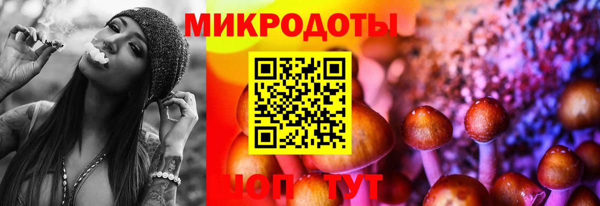 Псилоцибиновые грибы ЛСД Канск